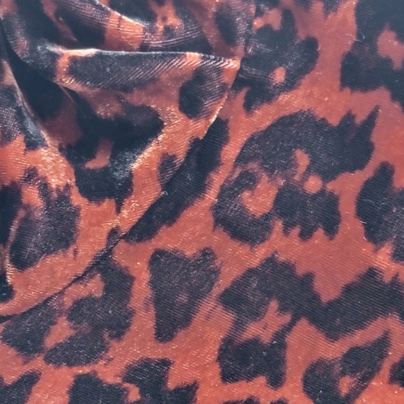 NWT Dolan Anthropologie Charley Velvet Leopard Blouse - Picture 6 of 8